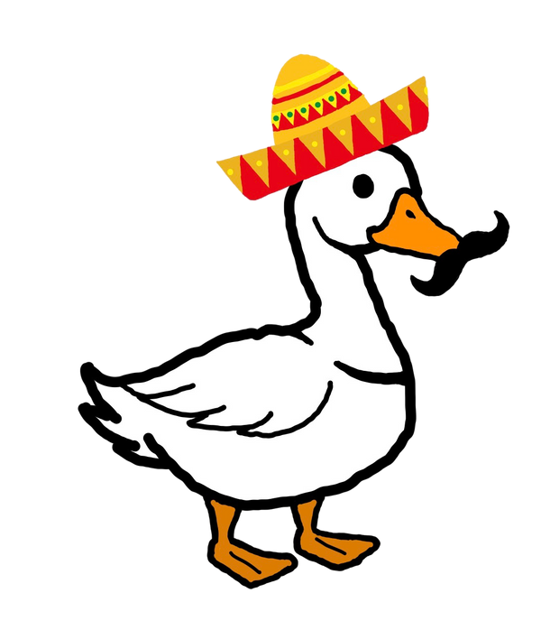 Mexico Duck.